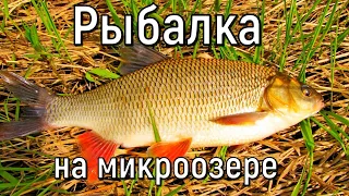 Рыбалка на микроозере. Много разной рыбы