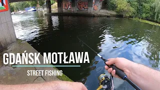 Motława Gdańsk / Street Fishing / okonie na obrotówke  / spinning