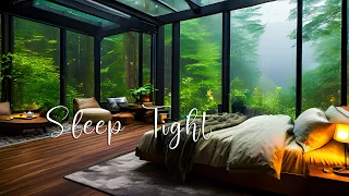 Rainy Day At Cozy Forest Room Ambience ⛈ Soft Rain in Woods for Deep Sleep, Sleep Tight