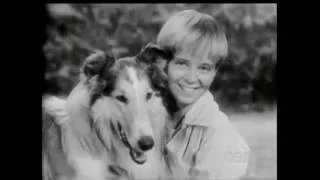 Lassie - Episode #57 - "The Deer Hunter" - Season 2, Ep. 31 - 04-08-1956