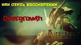 Как стать "бессмертным" в Overgrowth :D