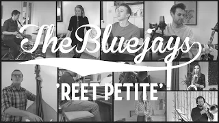 Reet Petite - Jackie Wilson | The Bluejays Live Cover