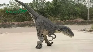 high quality raptor costume -only 14kg