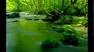 【癒し系】 せせらぎ - Stream (4)  ３時間 3 Hours Nature Sounds 【集中力】