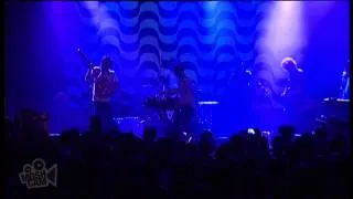 The Black Angels - Phosphene Dream (Live in Sydney) | Moshcam