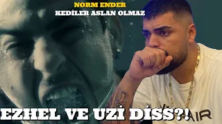 MEKANIN TURİSTİ ! Norm ender kediler aslan olmaz reaction