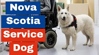 How to Get a Service Dog in Nova Scotia