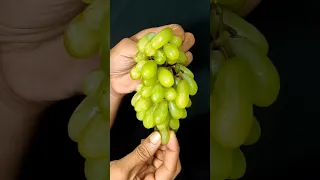 Grapes Mojito #shorts #asmr