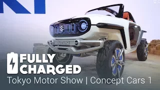 Tokyo Motor Show 1 - Concept Cars 1 | Fully Charged