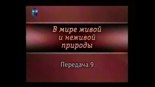 Передача 9. Строение вещества