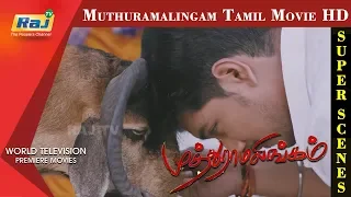 MuthuRamalingam Movie | Super Scene HD | Gautham Karthik | Priya Anand | Napoleon