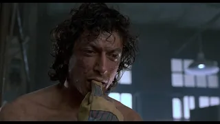 La mosca (1986) de David Cronenberg (El Despotricador Cinéfilo)