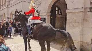 HORSE QUIT! EVERYTHING WAS FINE UNTIL THIS HAPPENED AT HORSE GUARD