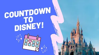 Countdown to Disney: When and How Often to Go to the Most Magical Place on Earth