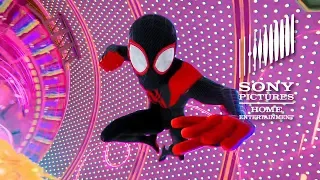 SPIDER-MAN: INTO THE SPIDER-VERSE: Now on Blu-ray & Digital!