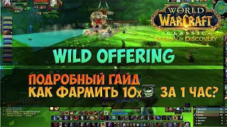 Важный фарм третьей фазы - The Wild Gods, Wild Offering 🟨 Season Of Discovery WoW Classic