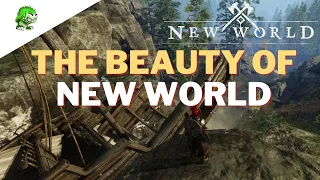 Why is New World so stunning? Check out these beauty of New World