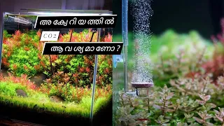 what CO2 really does for your aquarium#co2#aquarium #malayalam #plantedtank #co2tank#kerala #aqua