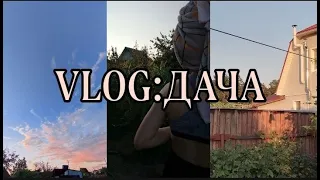 VLOG:Дача//отдых на даче//мини влог//лето