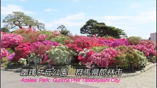 Azalea  Park  　躑躅ケ岡公園