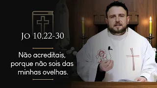 Homilia Diária | Terça-feira - 4ª Semana da Páscoa (Jo 10,22-30)