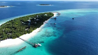 Reethi Beach Resort,BAA ATOLL,MALDIVES,snorkeling and fish feeding at  the jetty