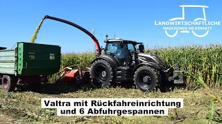 Maishäckseln mit einem Valtra T235 + Kemper 4 Reiher Maisgebiss | Maisernte 2021 | Diverse Traktoren