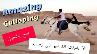 Amazing galloping in the desert فيديو رهيب اللي يفوته خسران  - فتح بالخيل