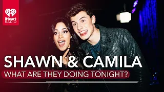 What Are Camila & Shawn Doing Tonight? | Fast Facts