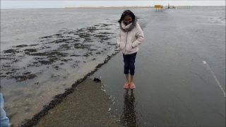 Holy Island Tide Rising on Causeway