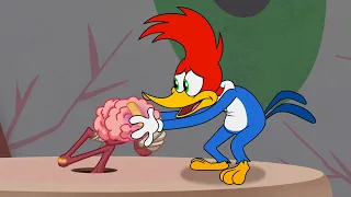 Woody vs His Brain! | Woody Woodpecker