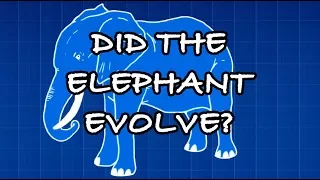 Did The Elephant Evolve? JW Broadcasting