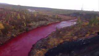 River in Arctic Russia turns vibrant red