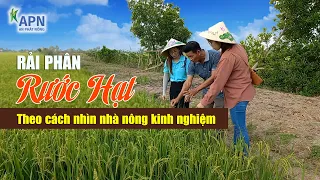 APN - BÓN PHÂN "RƯỚC HẠT" TỪ CÁCH NHÌN NHÀ NÔNG KINH NGHIỆM