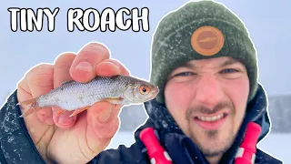 CAN WE CATCH BIG PIKE ONLY USING TINY BAITFISH? | Team Galant