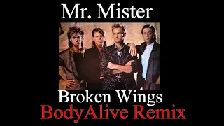 Mr. Mister - Broken Wings (BodyAlive Remix) ⭐𝐇𝐐 𝐀𝐔𝐃𝐈𝐎 FULL VERSION⭐