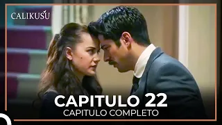 Calikusu Capitulo 22