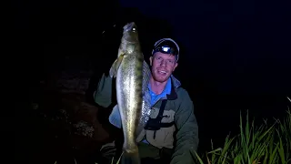 so IT WAS POSSIBLE! Pelagic WALLEYE from THE SHORE in RUSSIA (English subtitles)