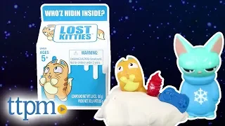 Lost Kitties Blind Box Series 1 Collectibles - Who'z Hidin Inside | Hasbro Toys & Games