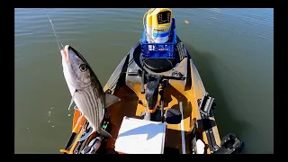 Biscayne Bay Miami Flat Kayak fishing - Bone Fish, Snook, Shark, Red Fish and Mangrove Snappers