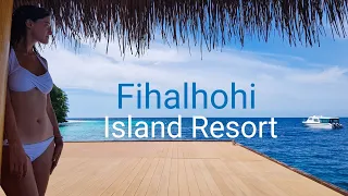 Мальдивы. Встреча черепахи. Fihalhohi Island Resort