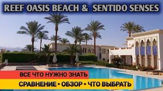 Reef Oasis и Sentido Senses. Одна территория- два отеля. Что важно знать!