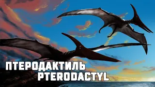 Динозавры. Птеродактиль. Pterodactyloidea. Pterodactyl.