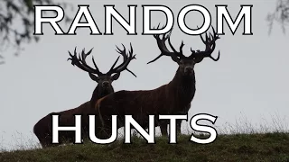 RANDOM HUNTS.