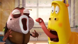 LARVA - THE GREATEST SNEEZE | Cartoon Movie | Cartoons | Comics | Larva Cartoon | LARVA Official