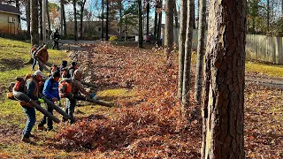 Taking OVER the it’s HIS turf LEAF ARMY it was an INSANE amount leaf clean up