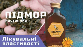 Основні лікувальні властивості бджолиного підмору