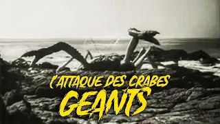 L'Attaque des crabes géants (film, 1957) SF/Horreur