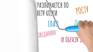 Конкурс социальных видеороликов и принтов "Все мы-вартовчане!"