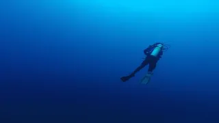 Diving Cocos Island, Costa Rica